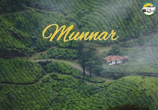 Munnar Tour Packages